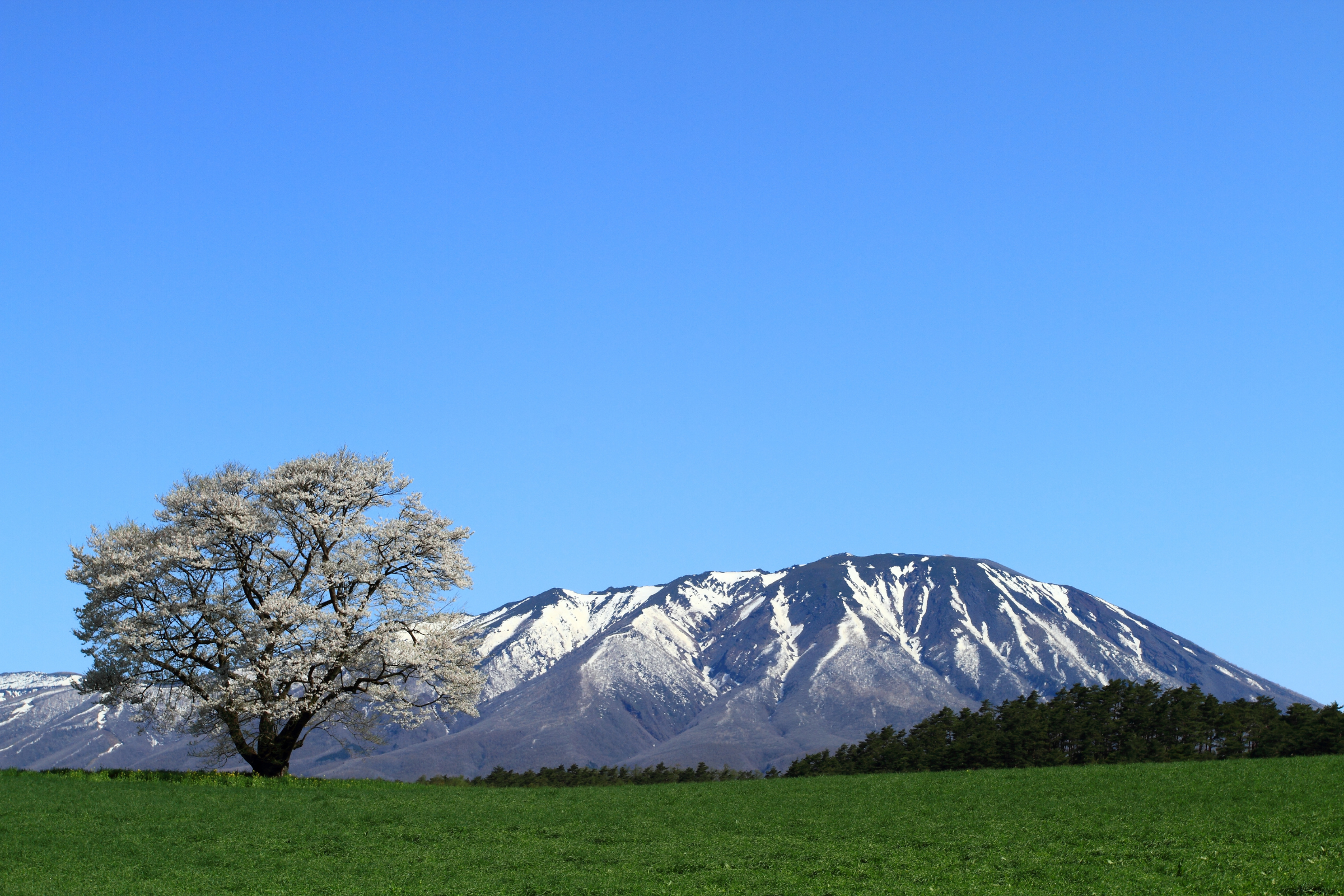 tsunagi, iwate.webp